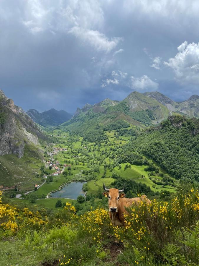 Apartamentos Rurales La Casina Del Fontan Valle de Lago Εξωτερικό φωτογραφία